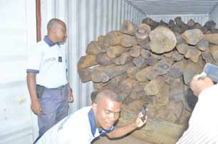 Madagascar: six conteneurs de bois de rose saisis
